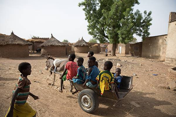 kids with donkey