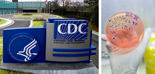 Business Pulse: How CDC Protects the Health of Your Business